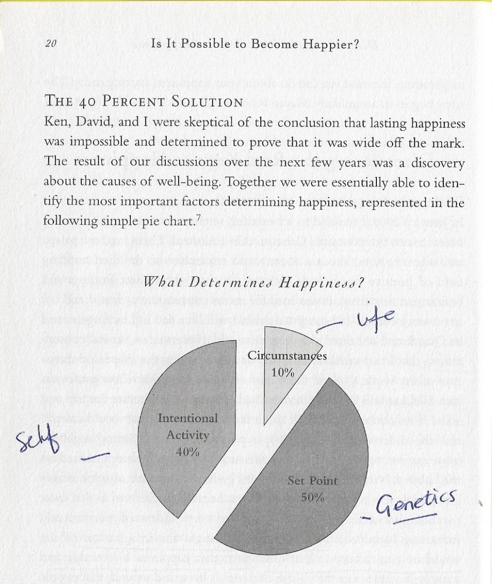 the how of happiness 2